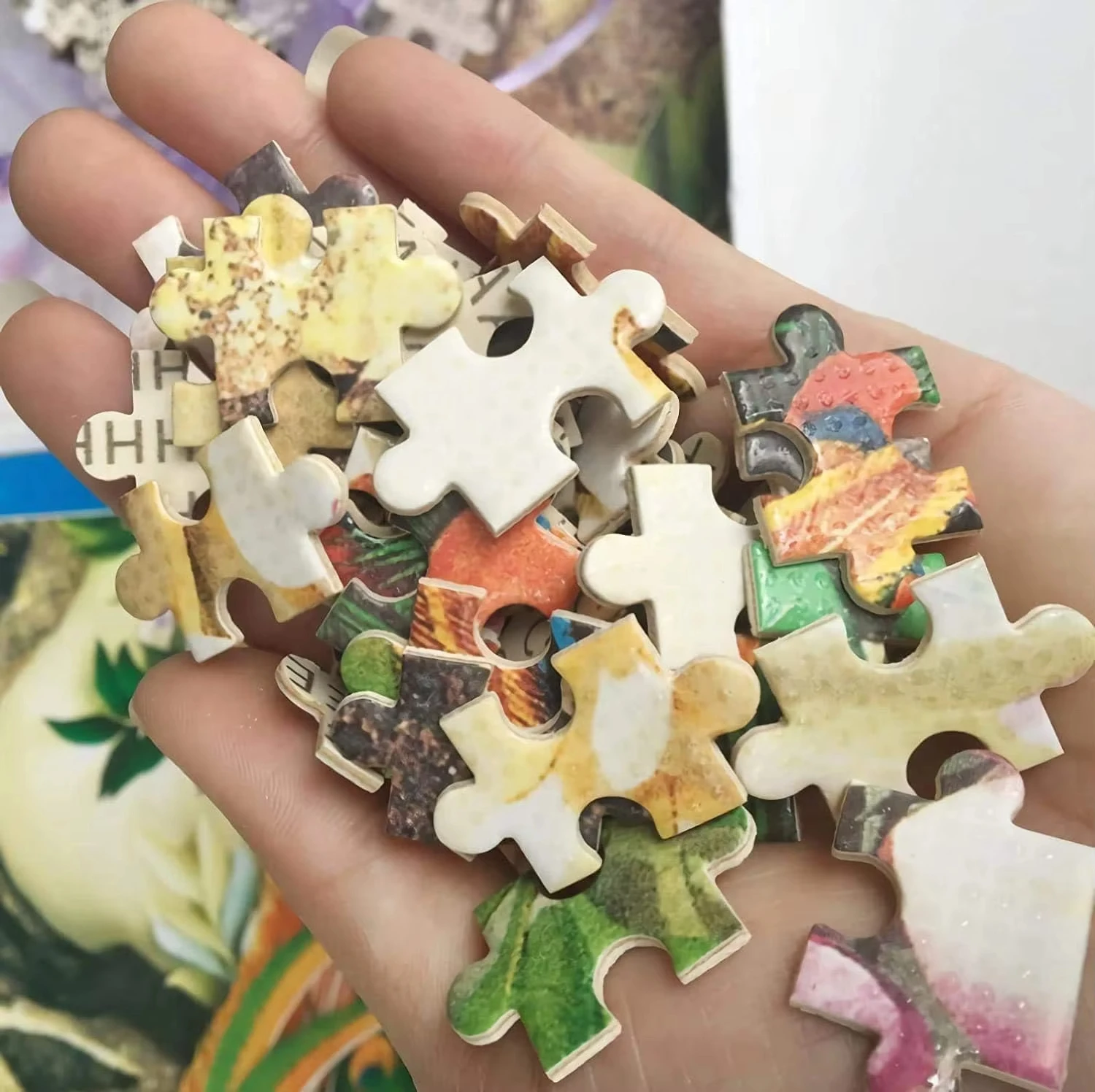 500-2000 Stuks Legpuzzel Anime - Kids Heaven Education recensie en prijs