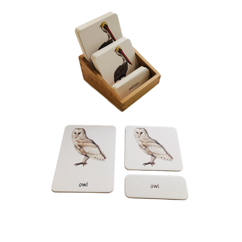 Montessori Taal Materialen 3 D - Montessori Shelf Toy recensie en prijs