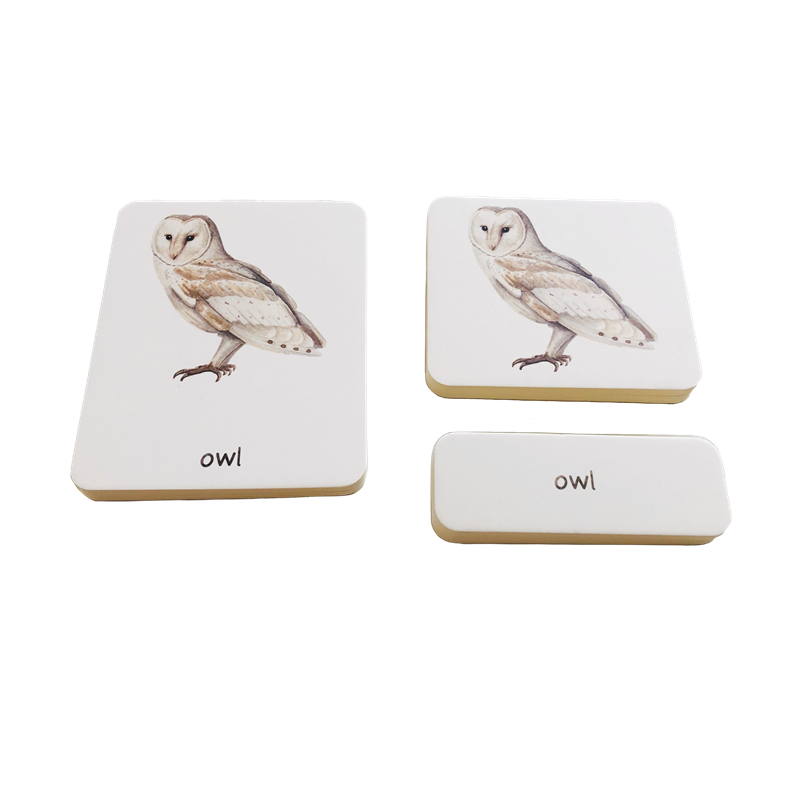 Montessori Taal Materialen 3 D - Montessori Shelf Toy recensie en prijs